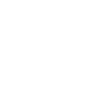 dubai-police